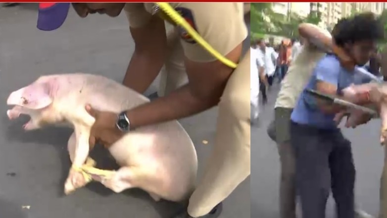 ठाणे के मीरा रोड सोसाइटी विवाद में सियासत तेज, BJP-VHP के प्रदर्शन के बीच पुलिस बल तैनात. (File Photo: ITG)