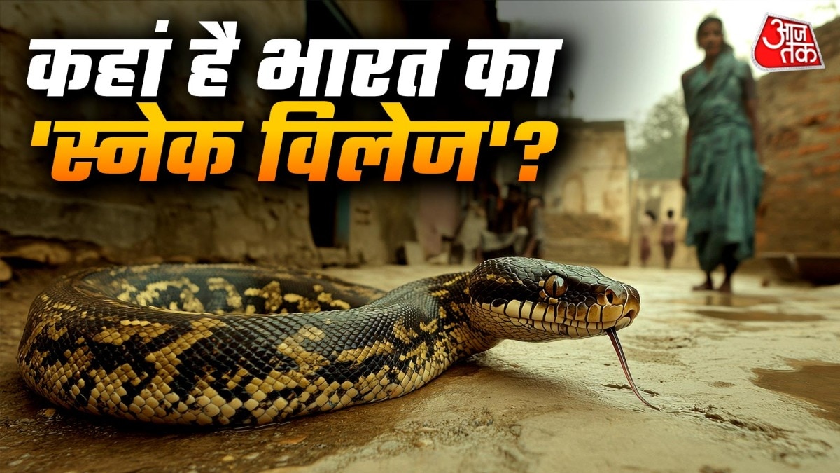 भारत का सबसे अनोखा गांव, जहां जहरीले सांपों के साथ रहते हैं 