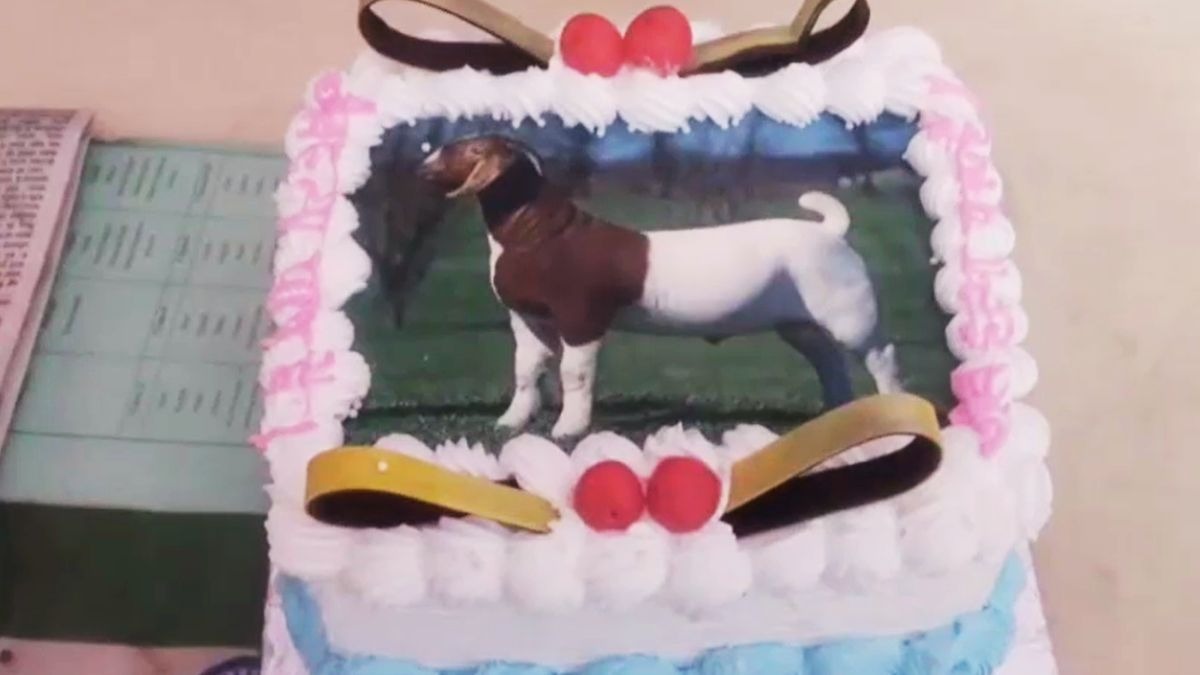 6a17e44152247-agra-muslim-family-cuts-goat-shaped-cake-on-bakrid-message-humanity-284411695-16x9.jpg