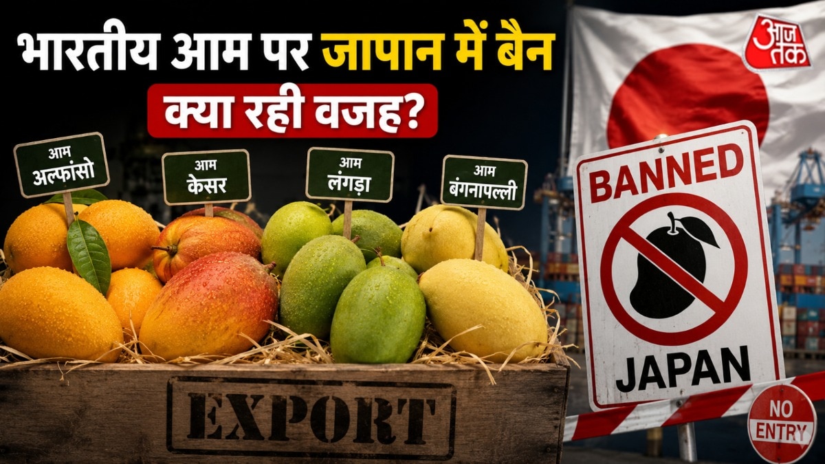 Japan Bans Indian Mangoes