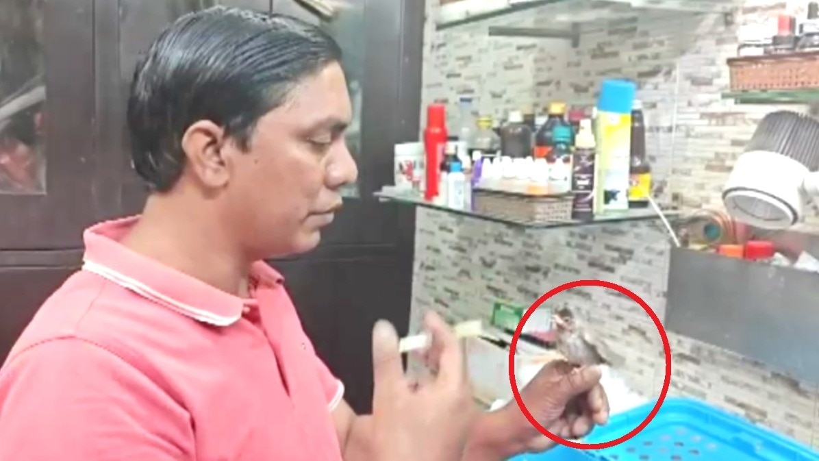 gurugram pakshiraj bird rescuer