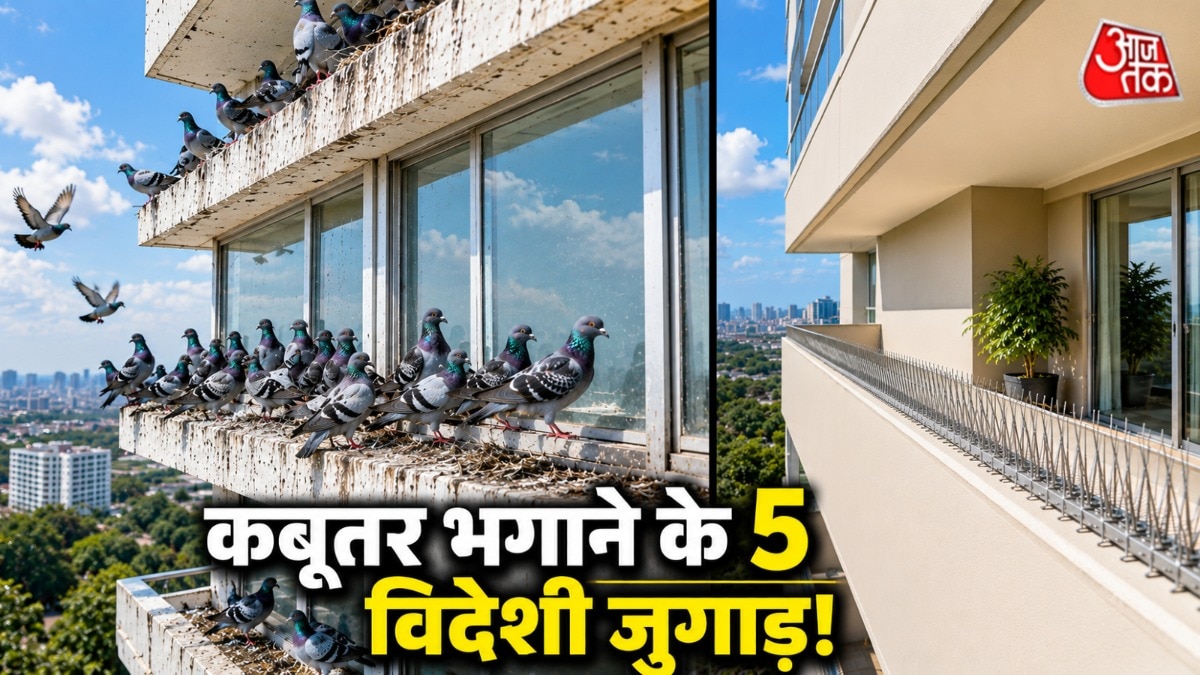 कबूतर भगाने के लिए विदेश में कुछ आसान तरीके अपनाते हैं. (Photo: AI Generated)