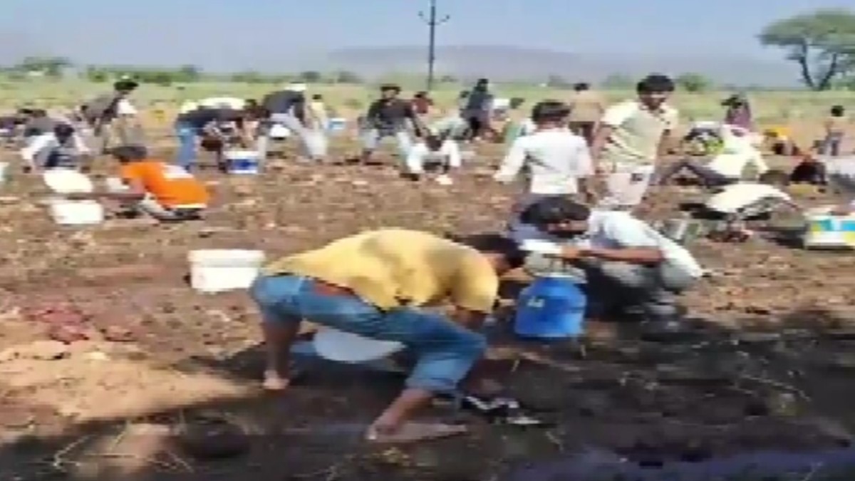 6a1ab05531eb1-alwar-jaipur-highway-tanker-accident-303927847-16x9.jpg