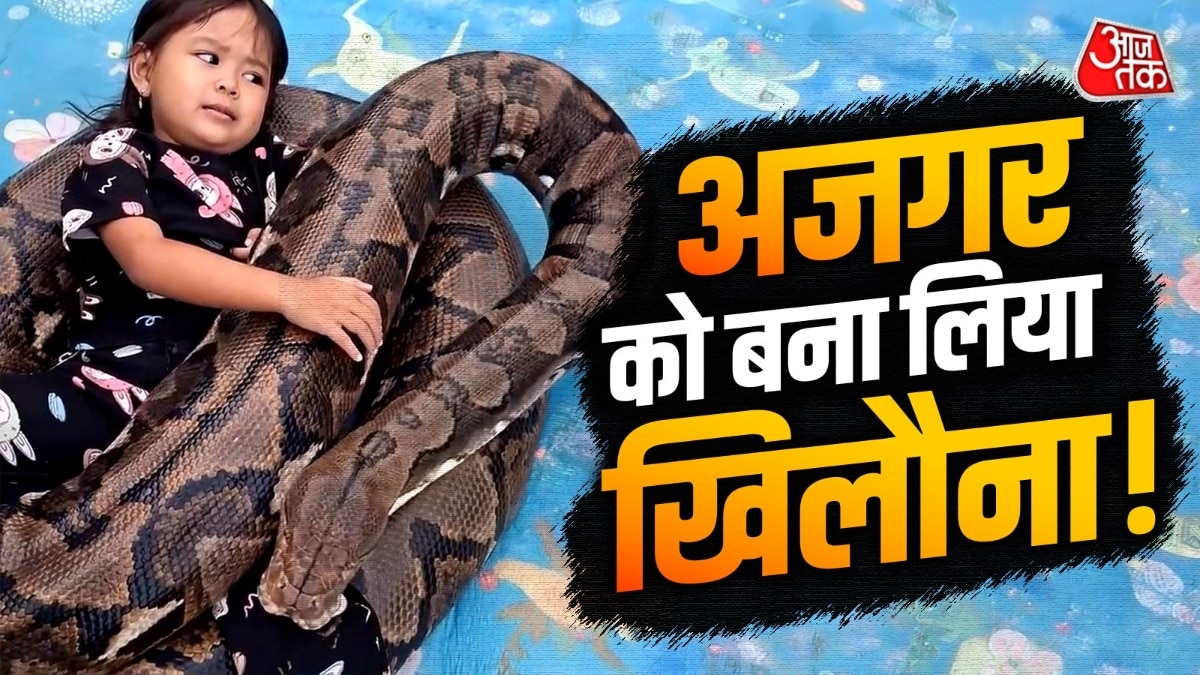 जानिए दुनिया के सबसे लंबे सांपों में शामिल इस अजगर के बारे में रोचक और चौंकाने वाली बातें. ( Photo: Instagram/therealtarzann)