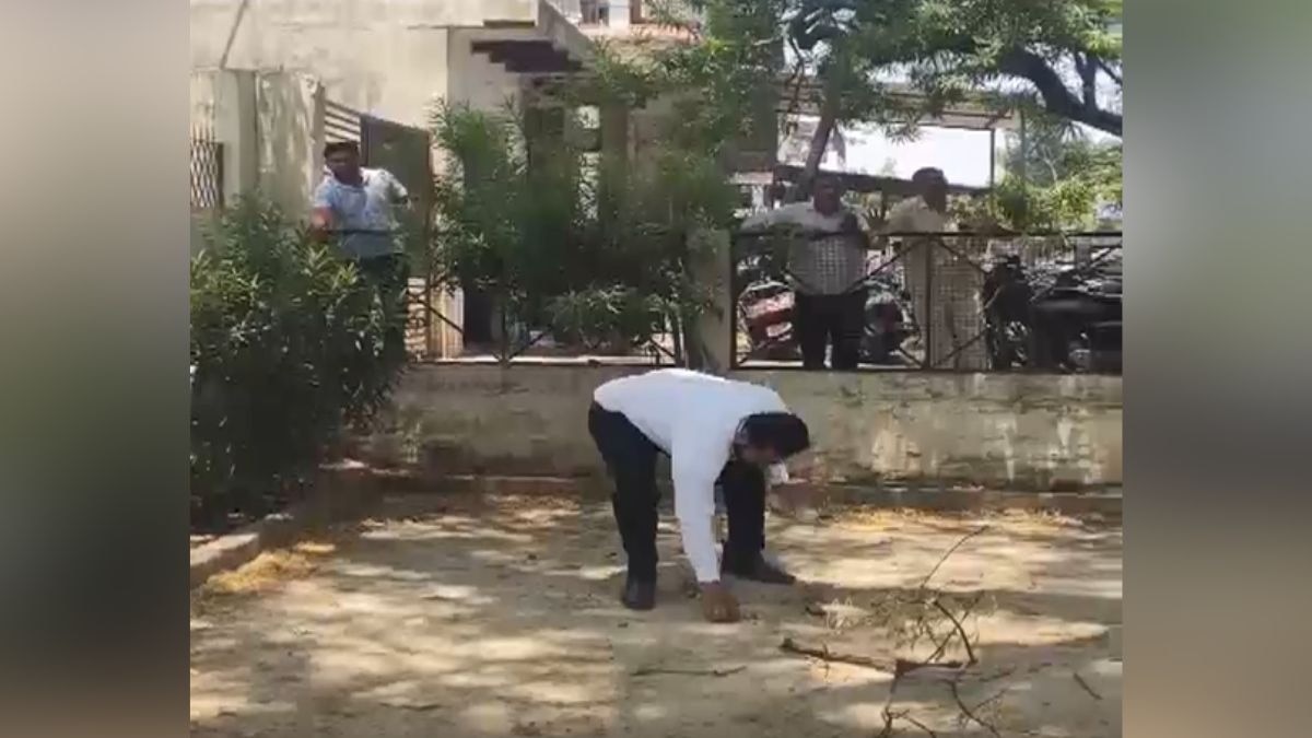 इंटरनेट पर वायरल हो रहा 'नोटों वाला बंदर'. (Photo: Screengrab)