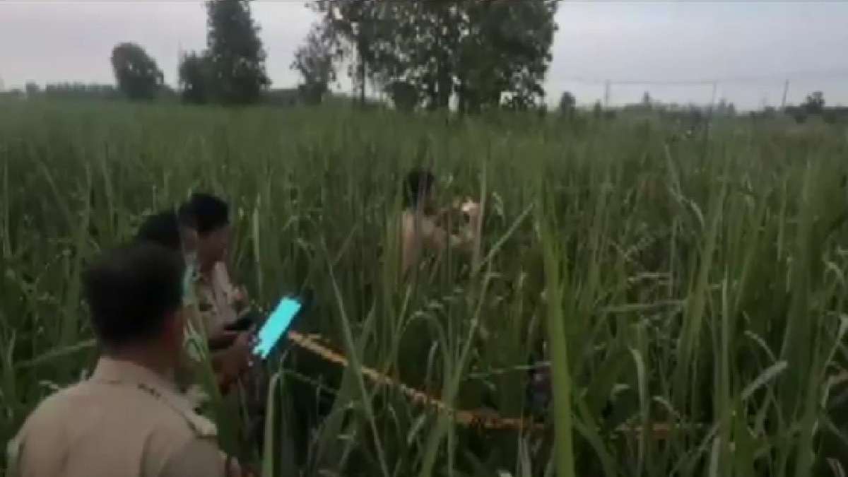 meerut