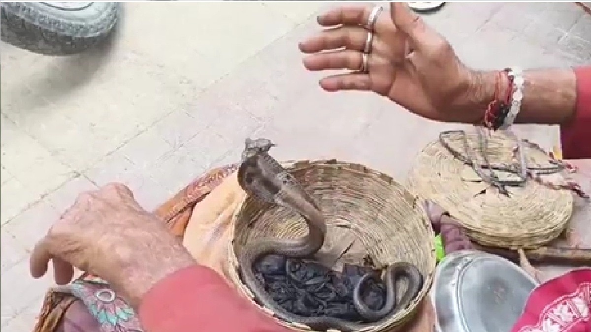 मरीज के साथ इमरजेंसी वार्ड में सांप को ले आए परिजन (Photo: itg)