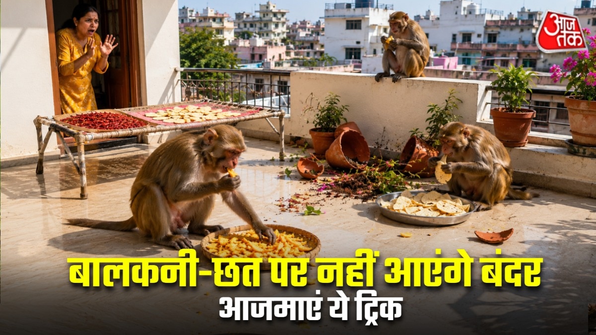 शहरों में भी बंदर का उत्पात बढ़ गया है. (Photo: AI Generated)
