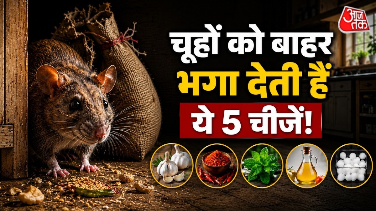 चूहों को कुछ खास तरह की गंध पसंद नहीं आतीं. (Photo: AI Generated)