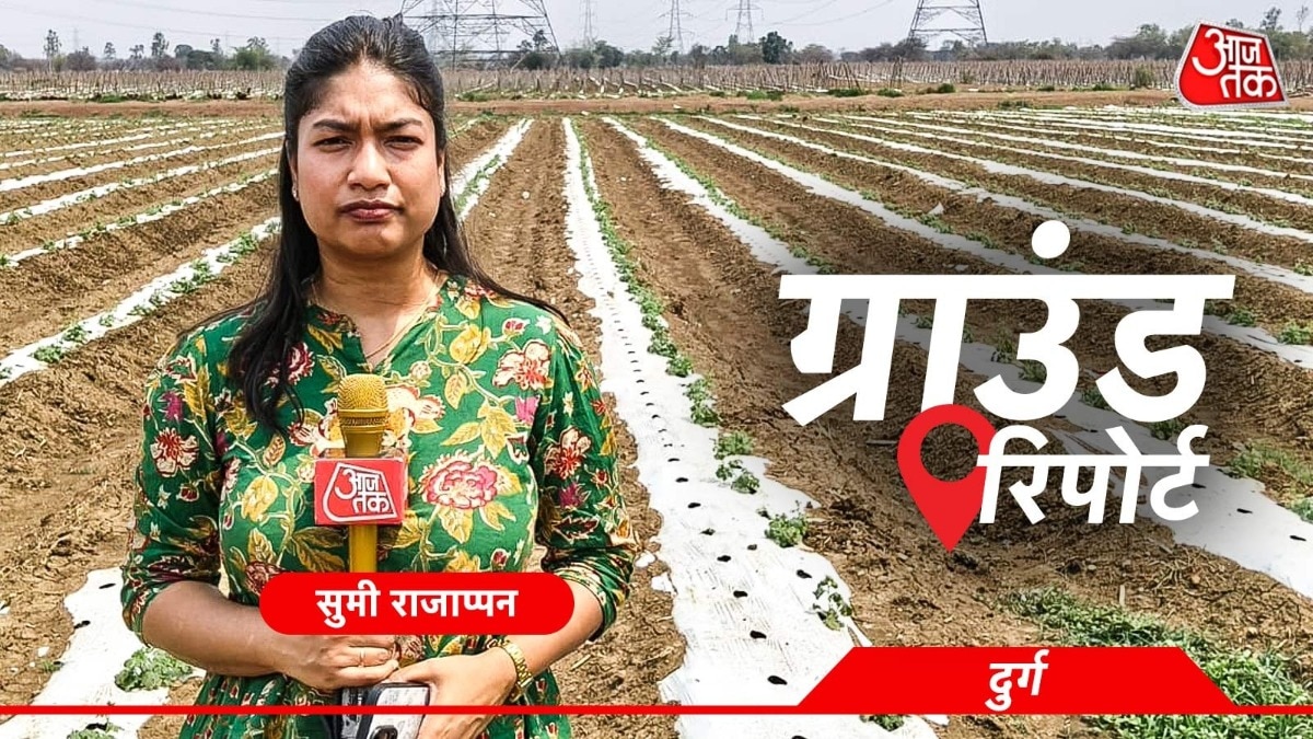 धमधा में पपीते की खेती पर फिरा पानी (Photo: ITG)