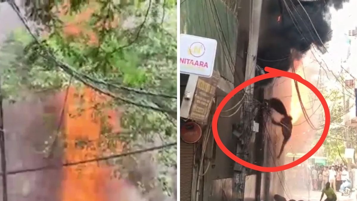 Malviya Nagar fire