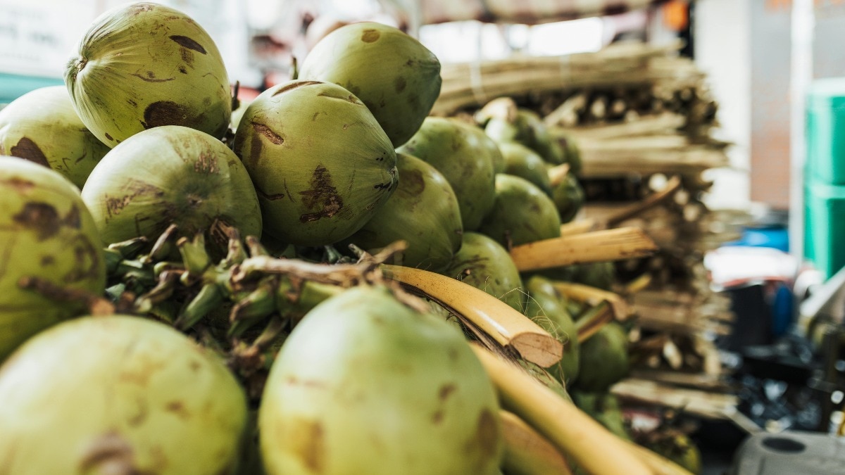 6a2011ce2545b-coconut-water-price-in-india-033640365-16x9.jpg