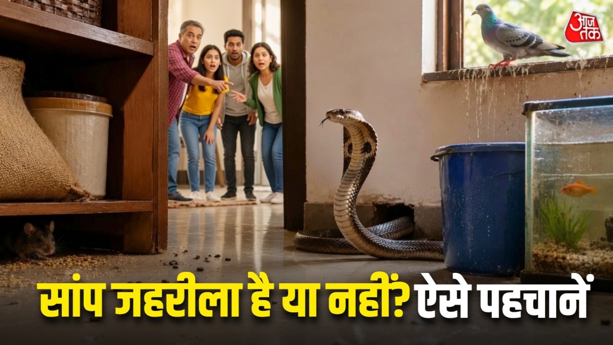 how-to-identify-venomous-and-non-venomous-snakes