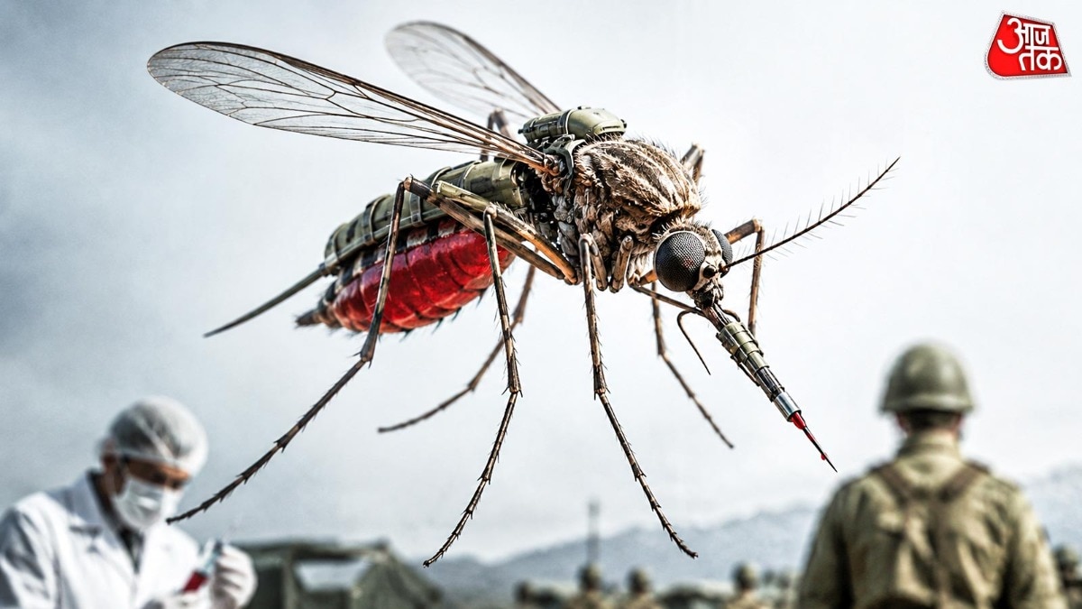 America killer mosquitoes