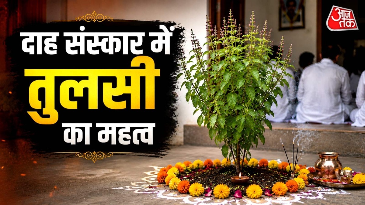 अंतिम संस्कार के बाद घर में क्यों लगाया जाता है तुलसी का पौध