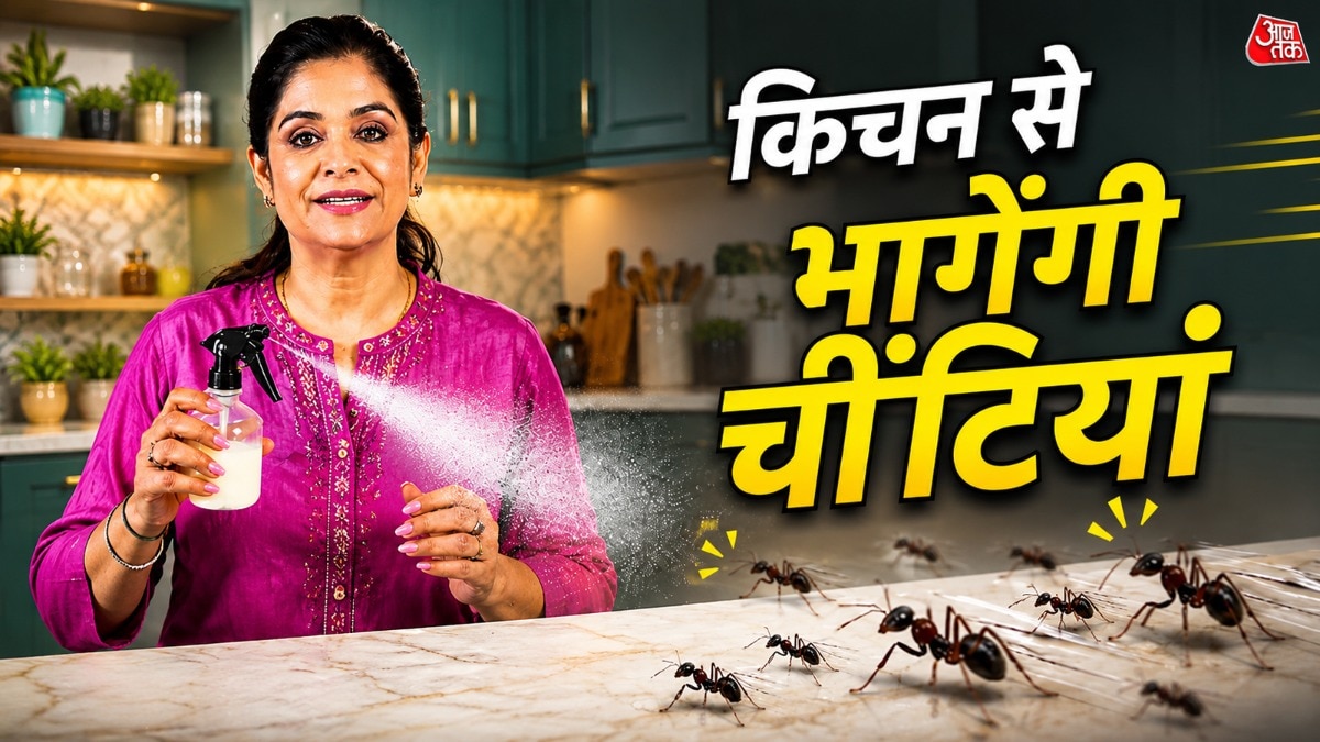 न नुकसान, न गंदगी, इस ट्रिक से किचन से दुम दबाकर भागेंगी चीं