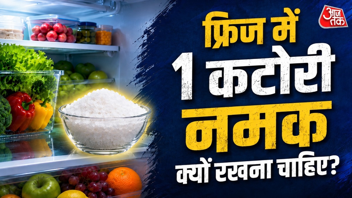 फ्रिज से आती है बदबू? एक कटोरी में रखें ये चीज, मिलेगा छुटका