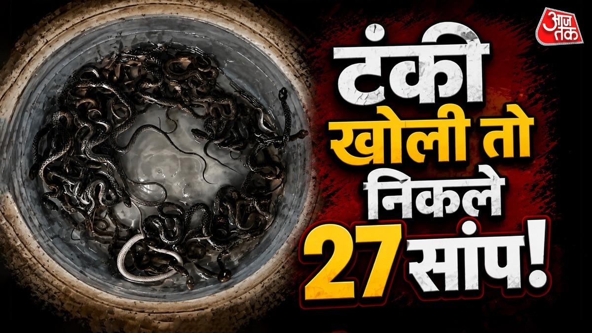 पानी की टंकी में दिखे 27 सांप...  वायरल हो रहा इस भयावह सीन 