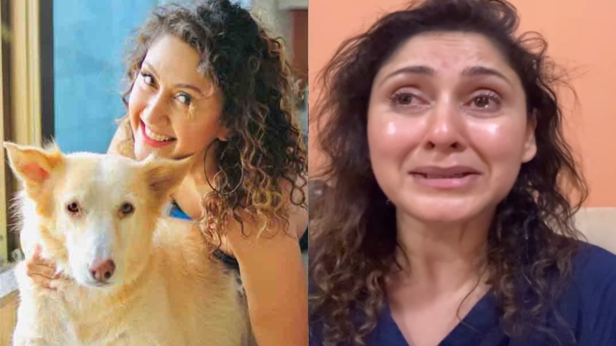 'रॉड से पीटा-खाई में फेंका', पेट को याद कर फूट-फूट