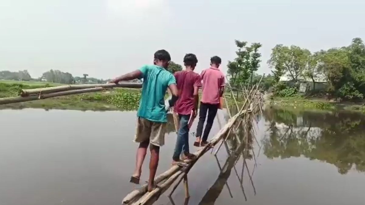 रोज जान जोखिम में डालकर स्कूल जाते हैं बच्चे. (Photo: Screengrab)