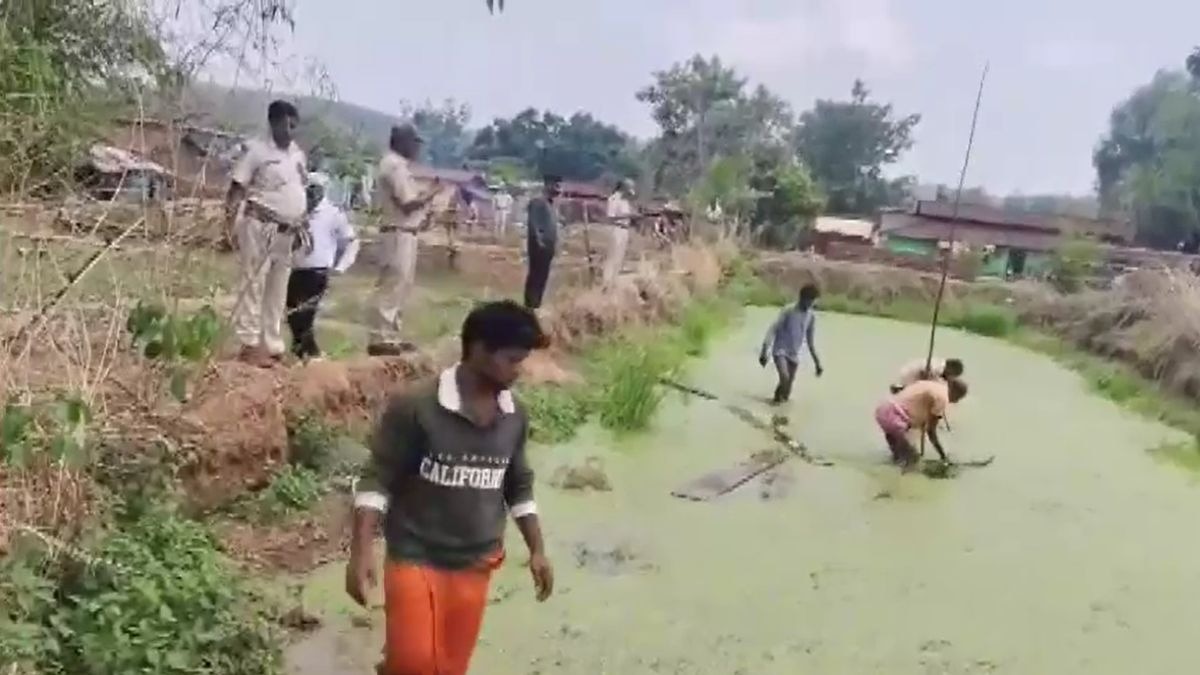 कई जगहों से सागौन की कीमती लकड़ियां हुईं बरामद. (Photo: Screengrab)