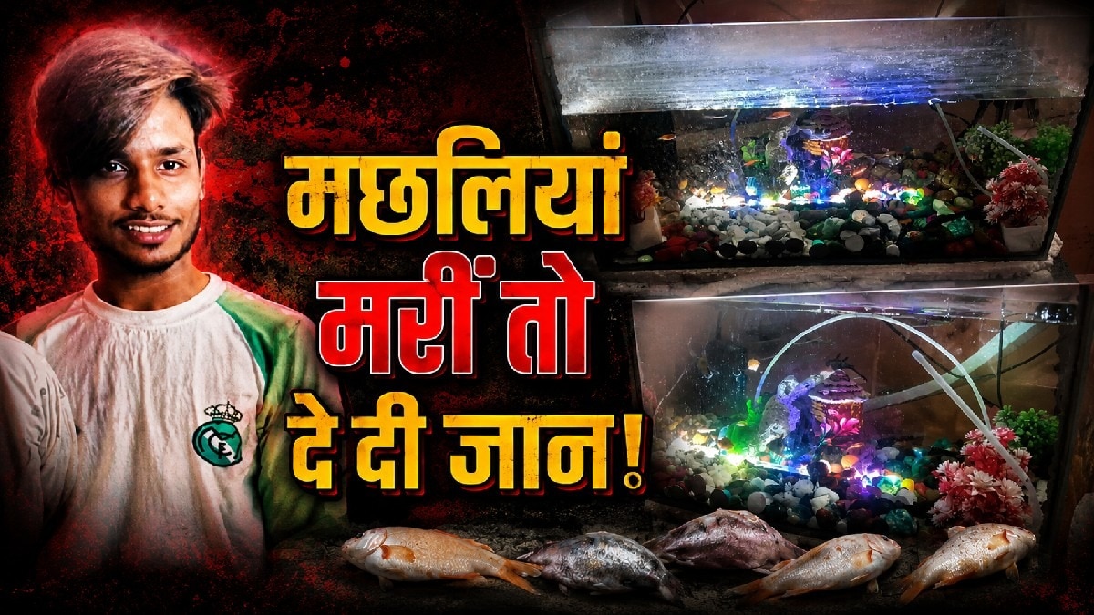 एक्वेरियम की लाइट बंद होने से तड़पकर मरीं विदेशी मछलियां.(Photo:ITG)