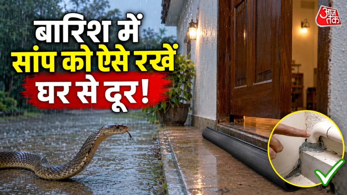 बारिश के मौसम में सांप भी अपने बिल से निकलकर सुरक्षित जगह पर जाते हैं. (Photo: AI Generated)