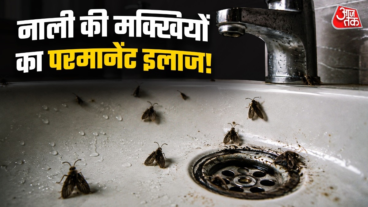 How To Get Rid Of Drain Flies (Photo: ITG)