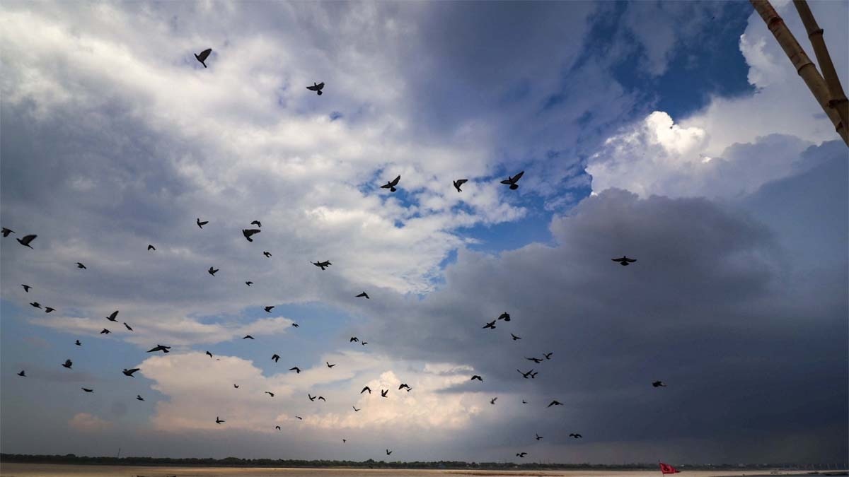 6a3121a2205a4-imd-rains-alert-due-to-western-disturbance-file-photo--pti-161244382-16x9.jpg