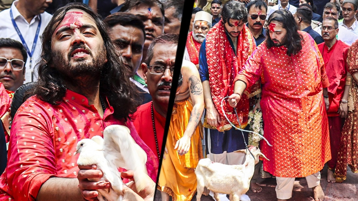 अनंत अंबानी ने कामाख्या मंदिर क्यों उड़ाए कबूतर