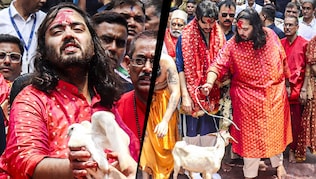 Anant Ambani Kamakhya Mandir Anant Ambani Kamakhya Mandir