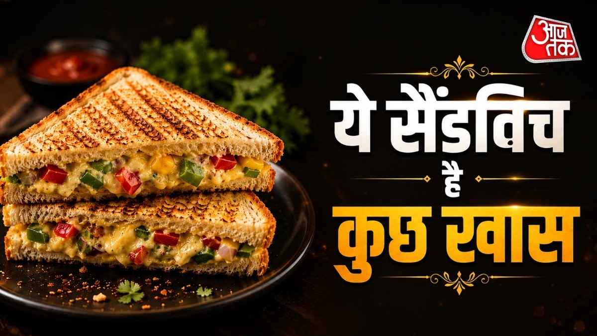 Healthy Protein Rich Sandwich