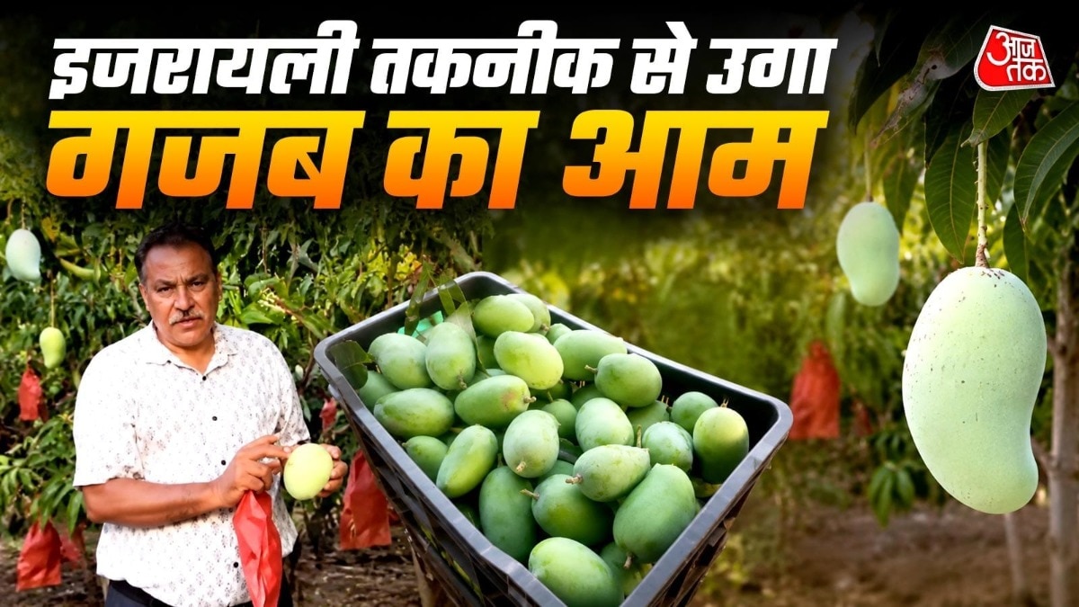 कम उपजाऊ जमीन पर खड़ा हुआ 70 एकड़ का आधुनिक आम बाग. (Photo: ITG)