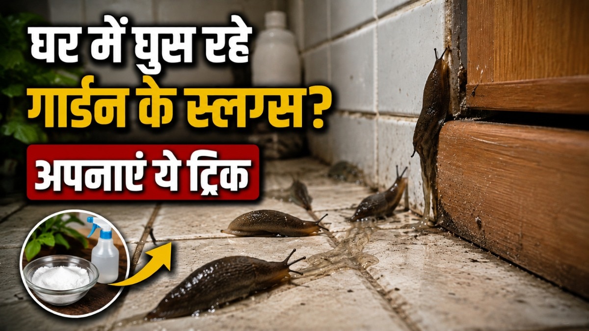 how-to-keep-slugs-away-from-home