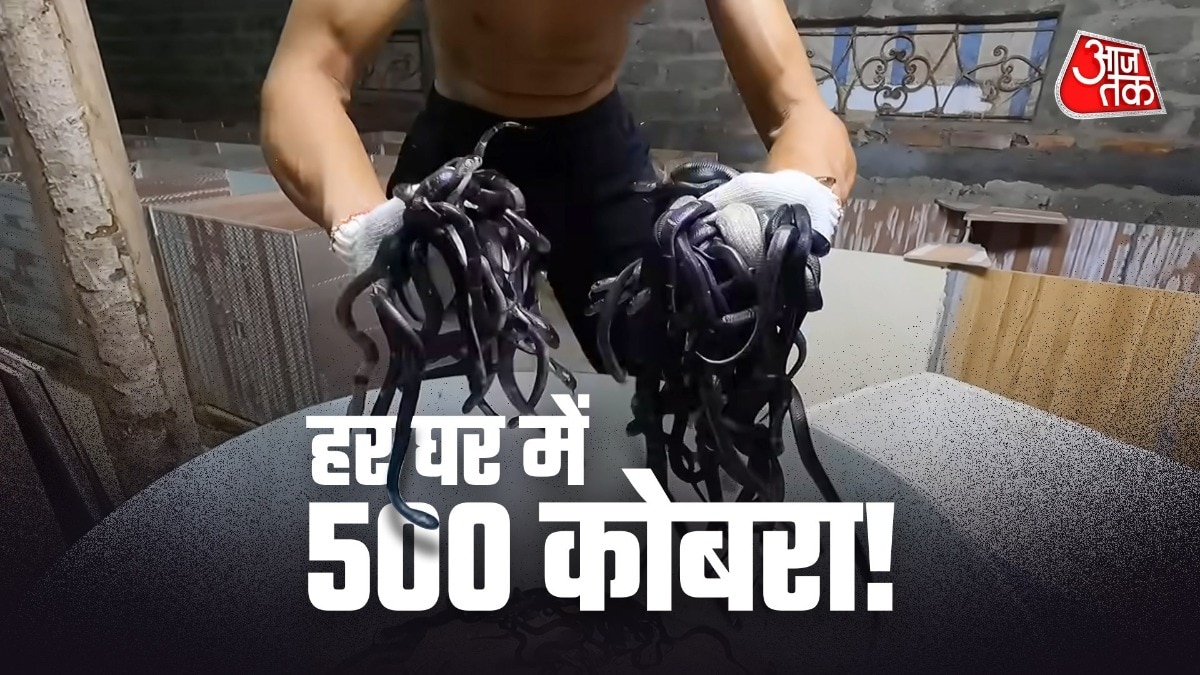 वियतनाम के एक गांव में हजारों जहरीले कोबरा लोगों की रोजी-रोटी का जरिया बने हुए हैं. ( Photo: ITG)