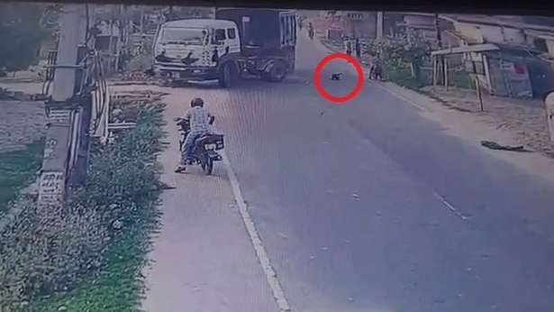 मासूम को बचाने की कोशिश में ट्रक ने बुजुर्ग को रौंदा, Video