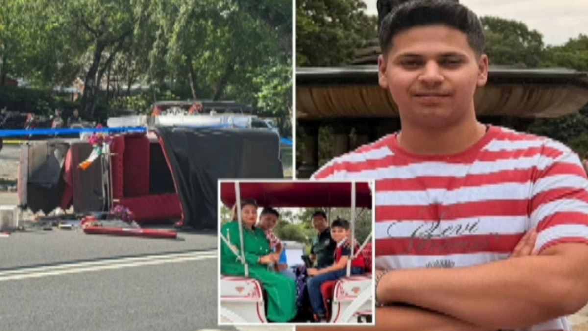 न्यूयॉर्क के सेंट्रल पार्क में बेकाबू हुई घोड़ा-बग्गी, मां को बचाते हुए बेटे की मौत