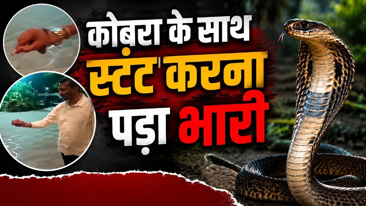 जहरीले नाग के साथ खेल रहे 'नवाब' की अस्पताल में टूटी सांसें.(Photo:ITG)