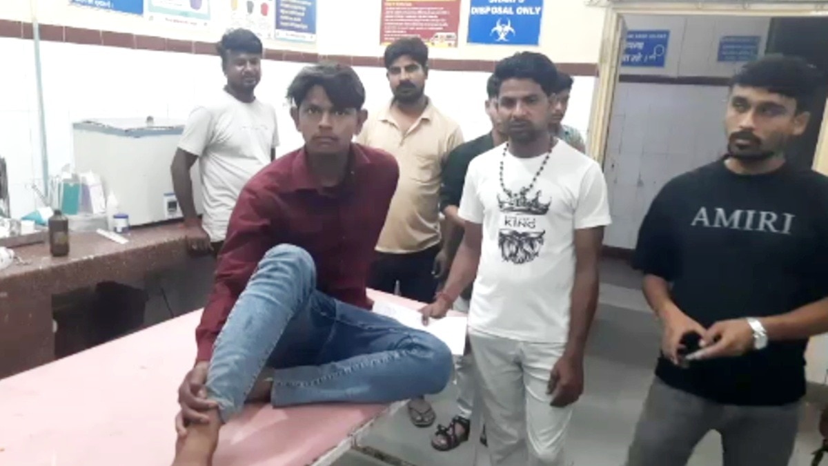 एक दिन में 40 लोगों को काट गए आवारा कुत्ते, शहर में डर का माहौल