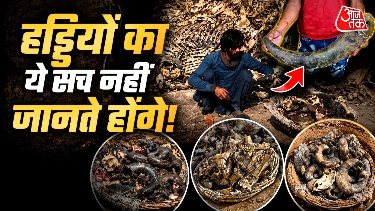 पारंपरिक हस्तशिल्प उद्योगों में हड्डियों का उपयोग आज भी देखा जा सकता है. ( Photo: Asian Process X)