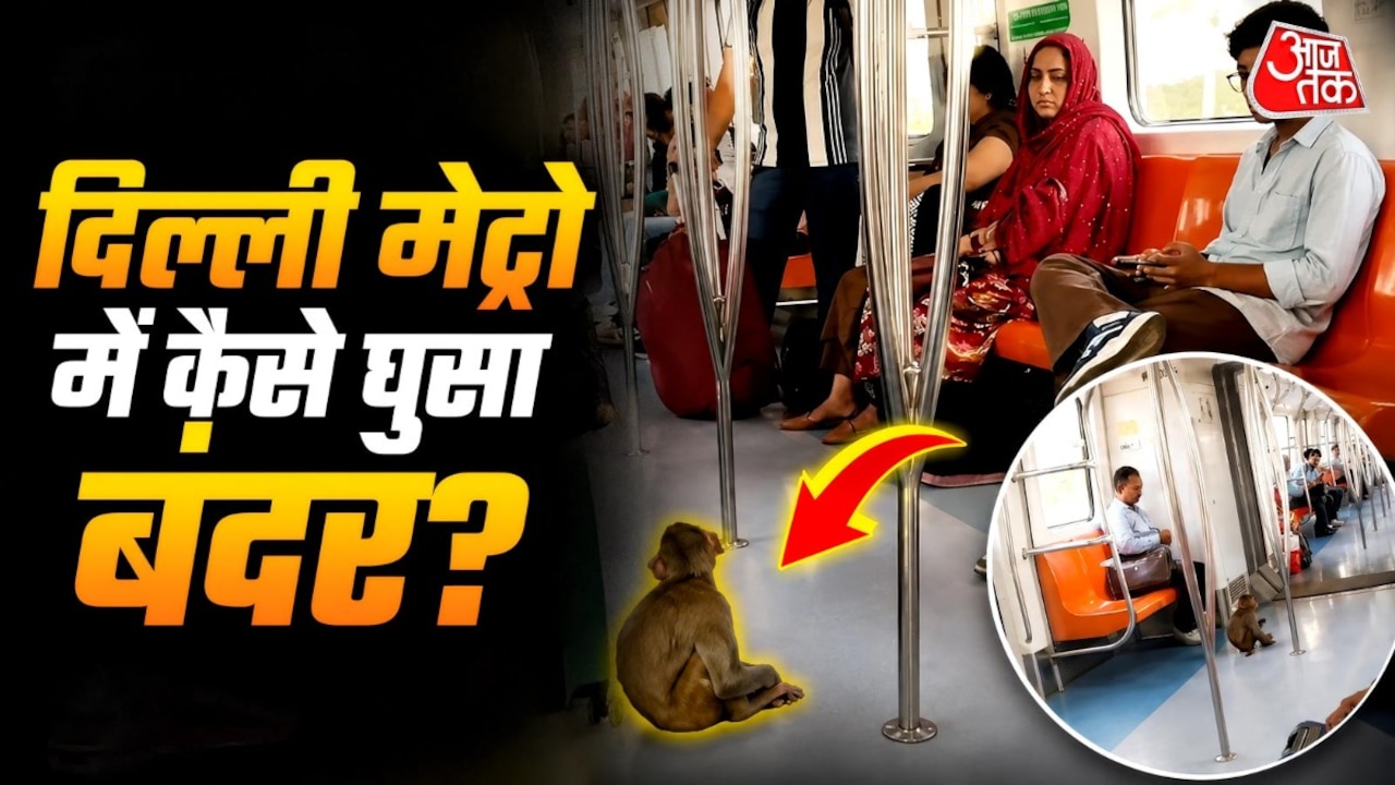 दिल्ली मेट्रो में बंदर की एंट्री, लोग बोले- आखिर अंदर पहुंचा कैसे?