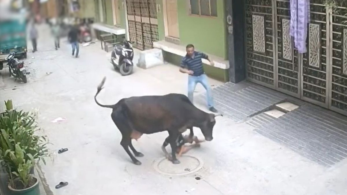 बच्चे की आवाज सुनकर घरों से निकल आए लोग. (Photo: Screengrab)