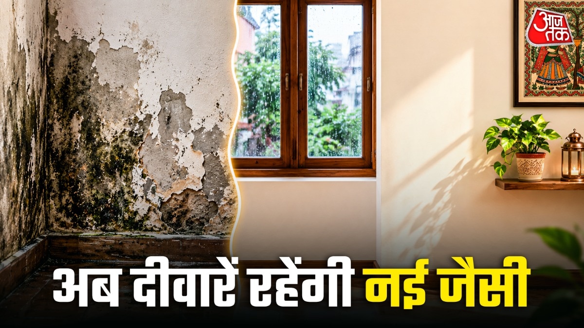 घर की दीवारों को सीलन फ्री कैसे रखें (Photo: ITG)
