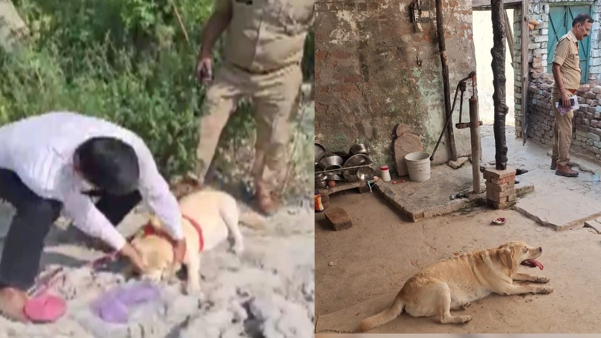 सीधे रेपिस्ट के घर ले गई पुलिस डॉग, Mary ने सुलझाई ब्लाइंड रेप की गुत्थी (Photo: itg)