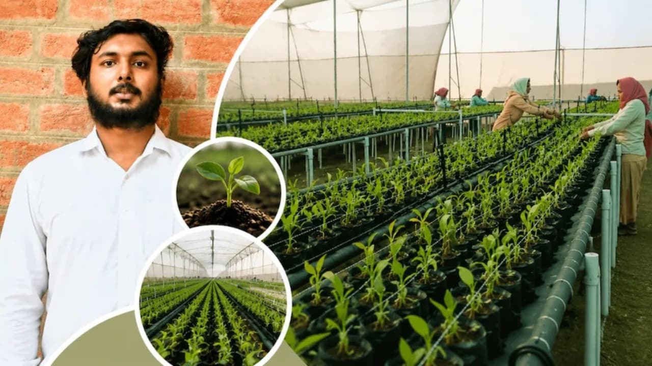 AI इंजीनियरिंग छोड़ी... शुरू किया ये काम, हर हफ्ते ₹30000 की कमाई