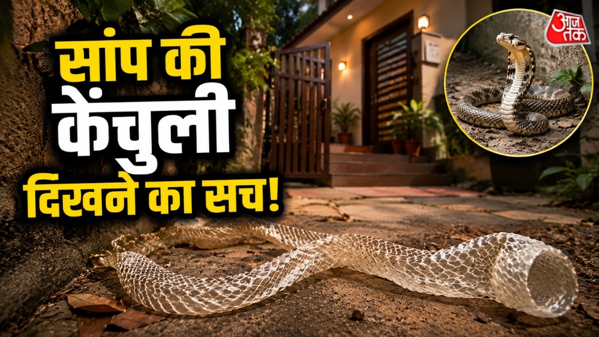 सांप अपनी जो स्किन छोड़ते हैं, उसे केंचुली कहते हैं. (Photo: AI Generated)