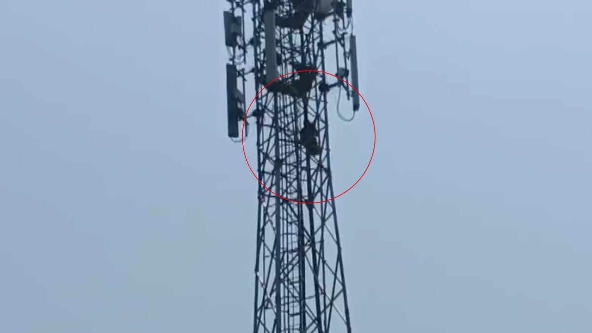बॉयफ्रेंड के लिए मोबाइल टावर पर चढ़ गई प्रेमिका. (Photo: Screengrab)