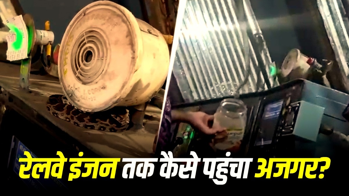 रेलवे इंजन के भीतर अजगर प्रजाति का एक छोटा बच्चा दिखाई दिया