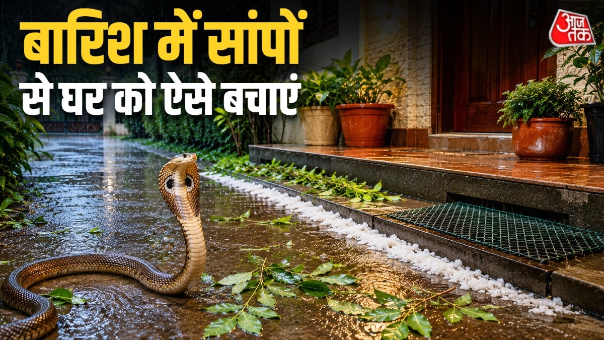 बारिश में सांपों का खतरा बढ़ जाता है. (Photo: AI Generated)