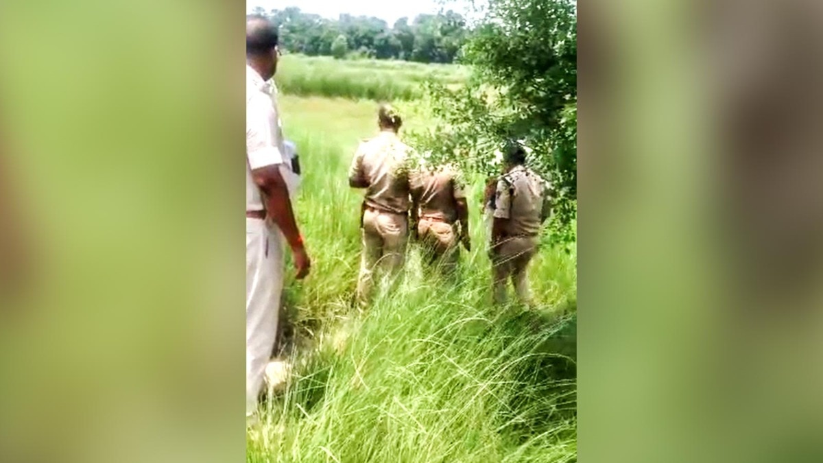 तालाब किनारे पेड़ से लटका मिला युवक का शव. (Photo: Screengrab)